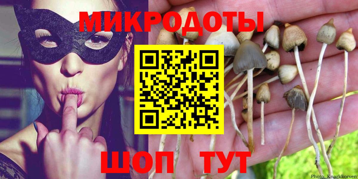 Галлюциногенные грибы Magic Shrooms  где найти   Буйнакск  Вход с VPN  Псилоцибиновые грибы Magic Shrooms 